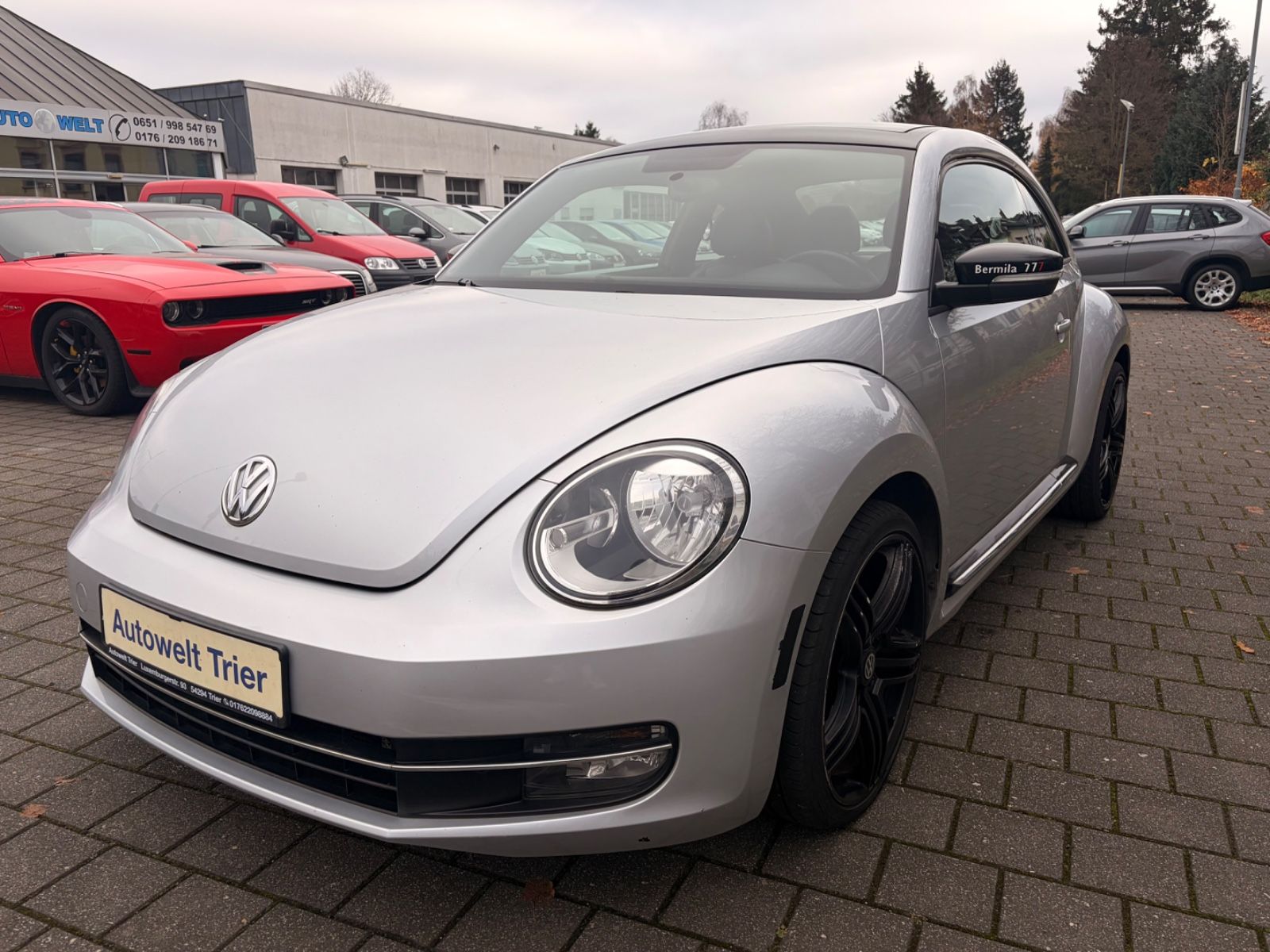 Volkswagen Beetle